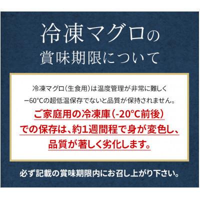 ふるさと納税 いわき市 【毎月定期便】本マグロ訳あり赤身 真空包装 [700g(2〜5サク)]全6回 |  | 03