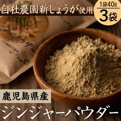 ふるさと納税 いちき串木野市 鹿児島県産ジンジャーパウダー(40g×3)自社農園の新生姜のみ使用!