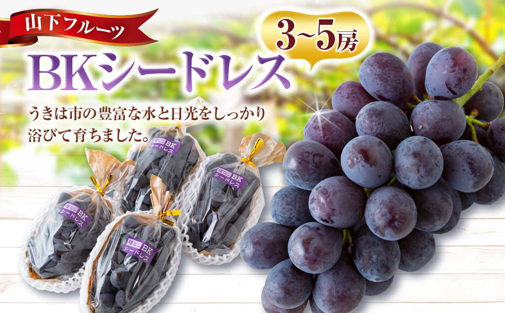 
            【先行予約】 山下フルーツ BKシードレス 3房から5房 【2025年8月中旬から9月中旬 出荷予定】 葡萄 ぶどう ブドウ 種無し 種なし 大粒 果物 くだもの フルーツ 果実 新品種 ミネラル農産物 お取り寄せ 福岡県 うきは市
          