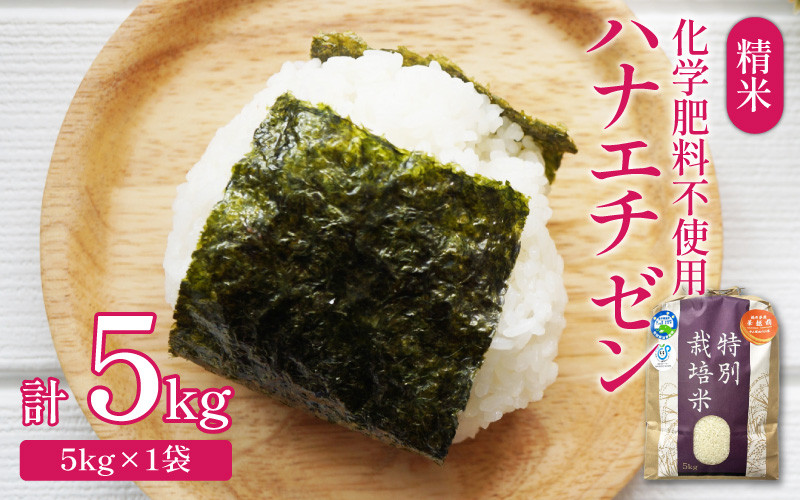 
            【先行予約】【令和7年産 新米】 化学肥料不使用ハナエチゼン 精米 5kg（5kg×1袋）　/ 米 白米 福井県あわら市産 ブランド米 美味しい 特別栽培米 減農薬 安心な米 旨味 甘み エコファーマー 冷蔵保管米 ※2025年8月下旬より順次発送
          