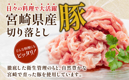 宮崎県産豚肉切り落とし(250g×20 計5kg)【豚肉 豚肉切り落とし 宮崎県産豚肉 小分け】