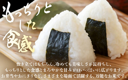 定期便 ≪3ヶ月連続お届け≫ 令和8年産 坂井市産 あきさかり 10kg (5kg×2袋) ×3回 (計30kg) 【玄米】米 コメ お米 [D-10203_02]