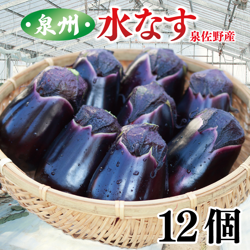 【先行予約】 泉州 泉佐野産 ハウス水なす 12個 夏旬の水なすを冬にどうぞ！