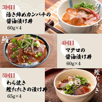 ふるさと納税 土佐市 【毎月定期便】土佐の海鮮丼セット(ブリ・タイ・カンパチ・マグロ・カツオ)各4P全5回 |  | 02