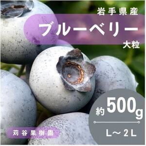 【期間限定】【苅谷果樹園】大粒ブルーベリー(L～2Lサイズ)約500g　小分けパック　岩手県軽米町【配送不可地域：離島・沖縄県】【1518036】