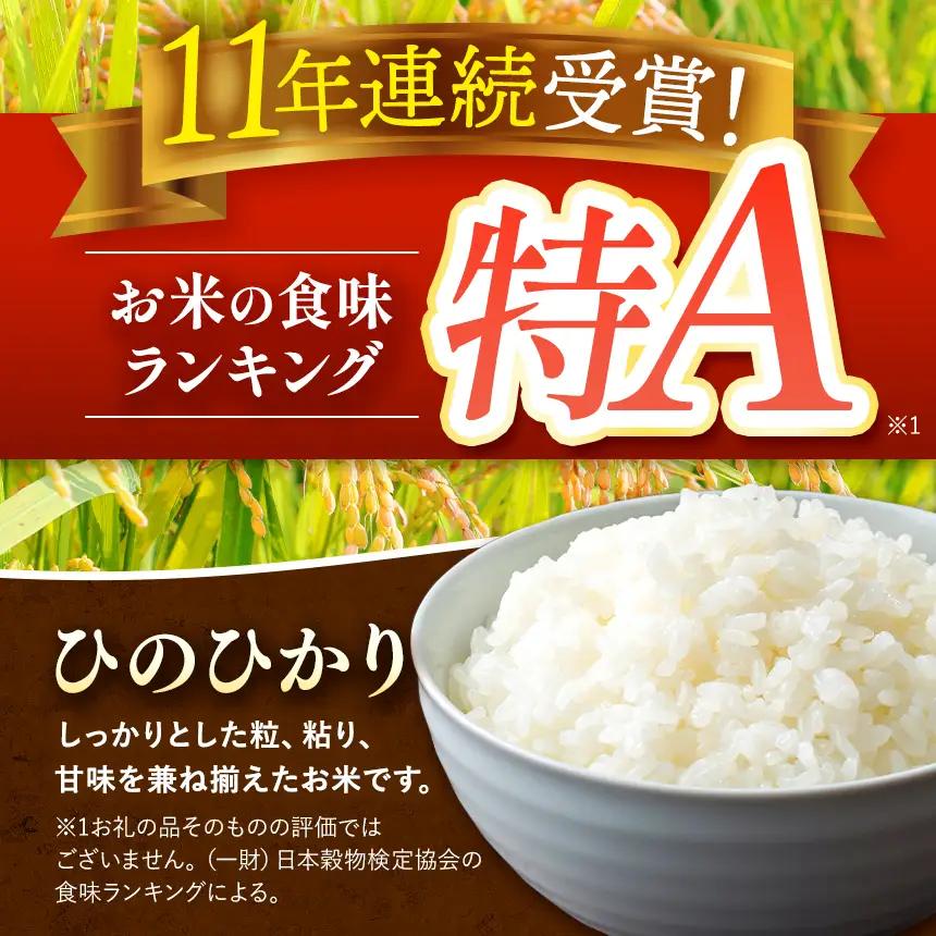【 定期便 3回 】R8年産 熊本県産 無洗米 ひのひかり 15kg