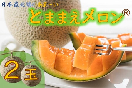 【令和7年産】とままえメロン　2玉（先行予約　北海道産　赤肉　糖度14度　甘い　フルーツ　果物　デザート　送料無料）