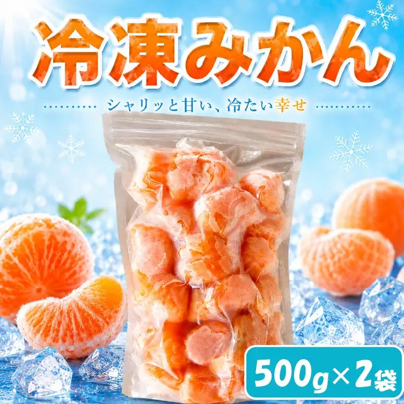 冷凍みかん 2袋 (500g×2袋) 冷凍みかん 愛媛【TKD002】