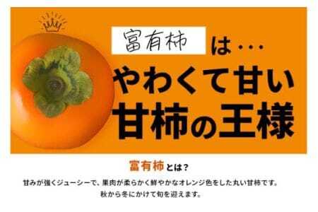 【 2025年 先行予約 】 富有柿 3L 12玉 1段箱 坂川果樹園 柿 甘い柿 大玉 かき 富有カキ 甘い 果物 フルーツ くだもの カキ 富有かき 秋 旬 甘柿 糖度 贈答用 贈答品 ギフト 贈