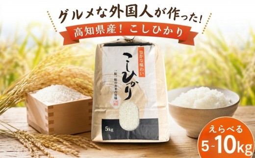 
                  選べる！ コシヒカリ [白米] 5kg 10kg グルメな外国人 農家 が作った こだわり お米 こしひかり 2025年産 2026年産 えらべる 新米 米 国産米 銘柄米 米5kg 米10kg ご飯 コメ こめ 令和7年産 令和8年産 産地直送 一人暮らし ミネラル 豊富 期間限定 季節限定 ふるさと納税 ふるさと納税米 人気 おすすめ 高知県産 高知県 黒潮町［0941-oya］
                