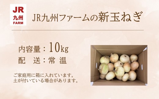 JR九州ファームの 新玉ねぎ 10kg( 玉ねぎ 甘い 野菜 新玉ねぎ 野菜 国産 送料無料 )【B7-023】