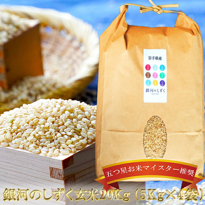 【ふるさと納税】 五つ星お米マイスター 厳選 盛岡市産 銀河のしずく 20kg 5kg×4袋 玄米 米 こめ コメ お米 ご飯 ごはん ライス グルメ 五つ星 5つ星 5ツ星 お米マイスター 5kg 5キロ 単品 単一原料米 銘柄米 小分け 国産 産地直送 盛岡 佐々木米穀店
