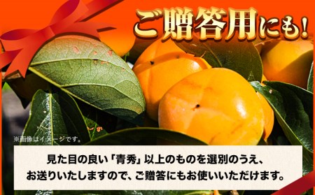 【先行予約】和歌山産のたねなし柿約7.5kg L~2Lサイズおまかせ 32～36玉【サイズお任せ/秀品】青秀以上《10月上旬-11月末頃出荷予定》 和歌山県 紀の川市 紀の川市厳選館 柿 カキ かき 
