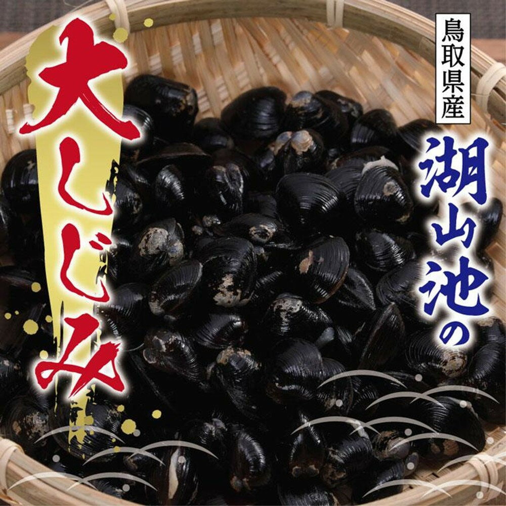 【ふるさと納税】湖山池の大しじみ | 鳥取 蜆 しじみ シジミ 送料無料 鳥取県 鳥取市