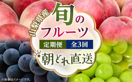 ＜発送月固定定期便＞フルーツ定期便 桃2kg 巨峰1kg シャイン1kg全3回【4077987】
