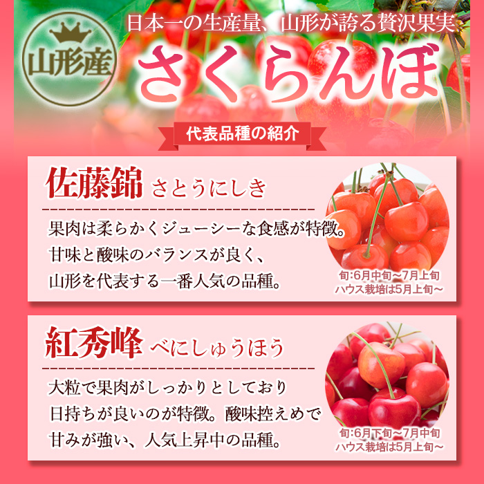 さくらんぼ 佐藤錦(ハウス)特選 バラ詰め L以上 約600g 【令