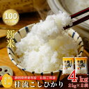 【ふるさと納税】 【 令和6年産 】米 桂流 こしひかり 2kg × 2袋 特別栽培米 【 数量限定 100セット 】 コシヒカリ 2キロ 白米 お米 おこめ 精米 ブランド米 国産 ごはん ご飯 おにぎり おむすび 弁当 送料無料 お取り寄せ 静岡 静岡県 伊豆市 [009-005]