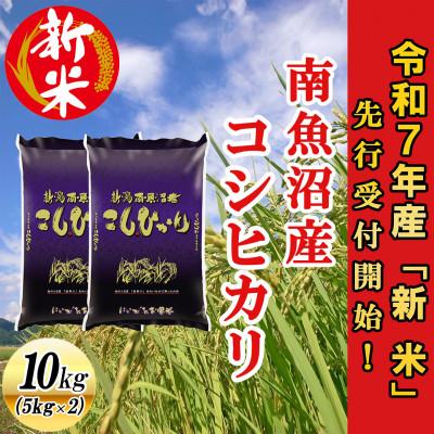 ふるさと納税 南魚沼市 【先行受付】南魚沼産コシヒカリ10kg&lt;2025年11月上旬発送開始予定&gt;