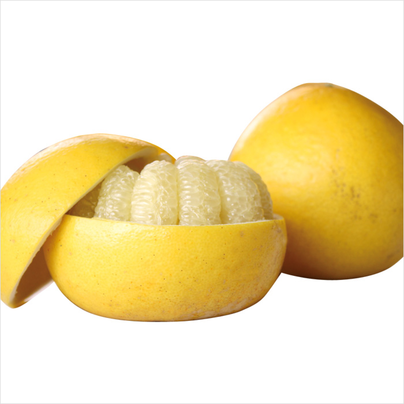 【2026年発送】岡林農園の(家庭用)土佐文旦(約5kg/8～12玉)  栽培期間中 農薬不使用