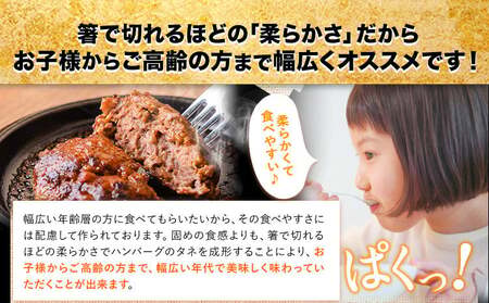 熊本県産あか牛100%生ハンバーグ 140g×20個 《30日以内に出荷予定(土日祝除く)》熊本県産あか牛 冷凍