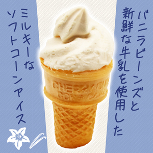 バニラソフト 110ml×20個