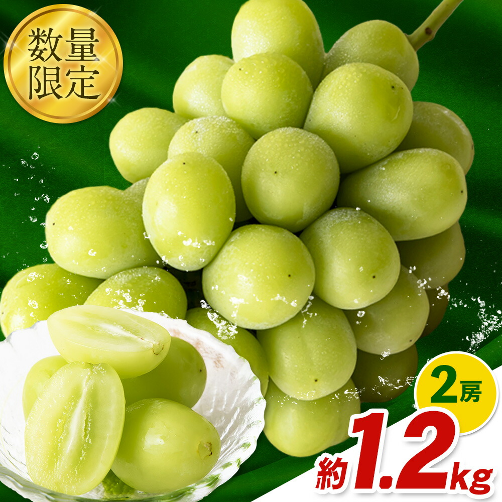 秀品 シャインマスカット 岡山 秋旬 数量限定 大粒 約1.2kg2房 産地直送 葡萄 果物 秀品 スイーツ フルーツ デザート 岡山県 笠岡市 簡易包装 《9月中旬～11月上旬頃に出荷予定(土日祝除く)》---kasaoka_zsy_35_12---
