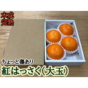 【ふるさと納税】ちょっと 傷あり 木成完熟 紅はっさく 大玉 2L × 4玉入 茶小箱【2024年4月上旬～発送】