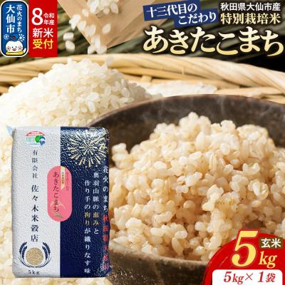 ふるさと納税 大仙市 米 令和8年産 新米 あきたこまち【玄米】5kg特別栽培米|22_skb-020501s