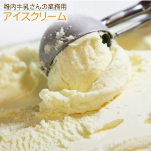 【 業務用 】 稚内牛乳 アイスクリーム 2L×2個 ( 宗谷の塩 ＆ チョコレート ) と 珍味【配送不可地域：離島】【1308062】