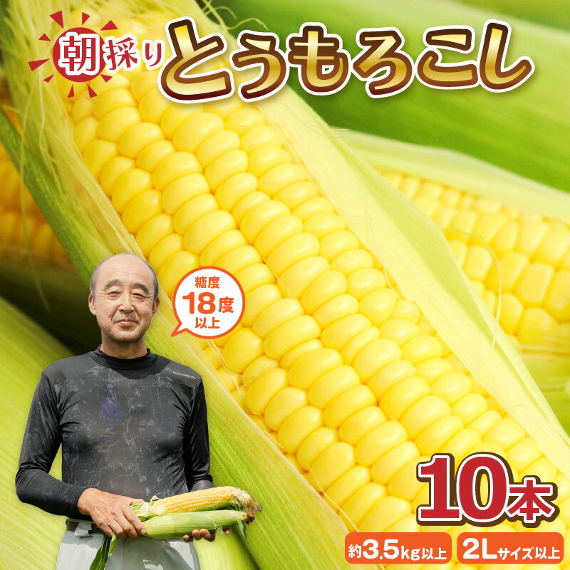 【ふるさと納税】もろこしやの朝取れ とうもろこし 10本 (1本：2Lサイズ以上 370g～450g) 『メロンより甘い』 ～驚きの糖度18度以上！～ (わくわくコーン) 【とうもろこし トウモロコシ 朝取れ 朝採れ 新鮮 果物 フルーツ 野菜 バーベキュー キャンプ BBQ 産地直送】