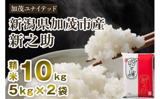 【令和7年産新米先行予約】新潟県産 新之助 精米 10kg （5kg×2袋）《10月上旬から順次発送》 東京・南青山の料亭で使用される極上米 加茂市 加茂ユナイテッド
