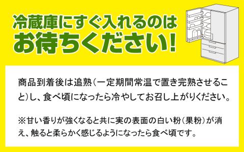 【2026年発送】南国の果物　沖縄県産マンゴー　キーツ　2kg