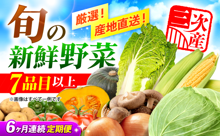 【全6回定期便】厳選！農夫のお野菜セット 旬の野菜 詰め合わせ 野菜セット 盛り合わせ 三次市/布野特産センター [APBA016]