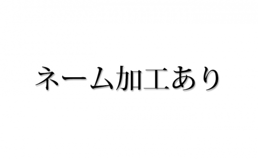 [№5695-7018]【島田の逸品】1105木こりの積木ランド 茶箱（ネームあり）