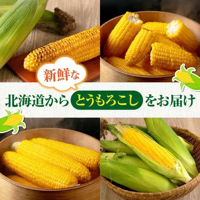 とうもろこし 10本 [AJAH025] とうもろこし