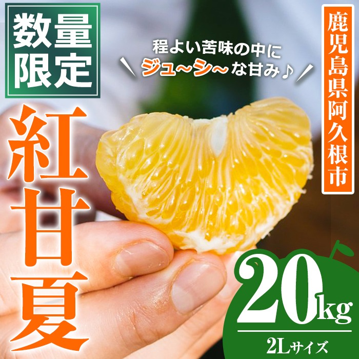 ＜先行予約受付中！2026年3月中旬以降順次発送予定＞数量限定！鹿児島県産 紅甘夏 (20kg・2L) 柑橘 フルーツ 果物 国産 みかん 期間限定 数量限定 ベニアマナツ ミカン 旬 【株式会社イロドリ】akn069-11