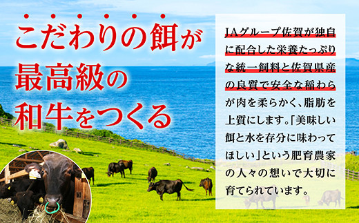 【大容量】佐賀牛 ミンチ 2kg 牛肉 ブランド牛 ひき肉 黒毛 和牛 D-290