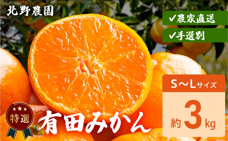 
                  DZ6233_【2026年先行予約】特選 有田みかん サイズ 混合 おまかせ S ～ L 約 3kg みかん 柑橘 フルーツ 果物 果実 果汁 デザート 深み 濃厚 国産 贈答用 ギフト用 北野農園 お取り寄せ 和歌山県 湯浅町 送料無料
                