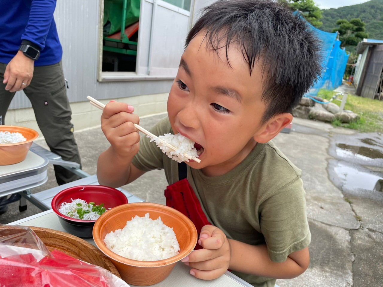【先行予約】令和７年産 新米 コシヒカリ精米5kg（1袋）白米 お米 ご飯 米 kome こめ コシヒカリ こしひかり 高知県産 5キロ 故郷納税 返礼品 高知 土佐清水市 【R01408】