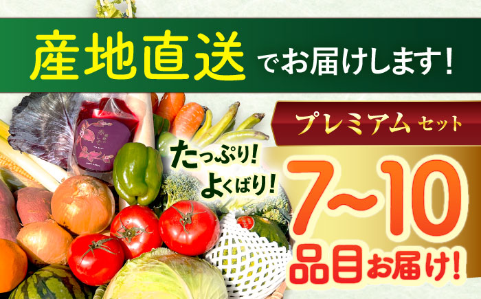 【12回定期便】野菜等詰め合わせプレミアムセット(7～10品目) / 野菜 果物 フルーツ くだもの きのこ しそ / 諫早市 / 松尾農園 [AHAY027]