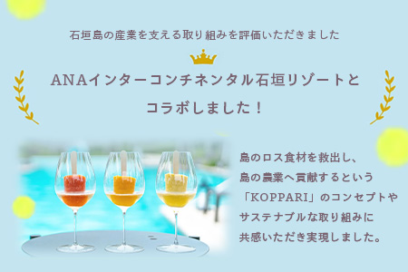 石垣島 冷凍パイナップル 6回 定期便 KP-7-1