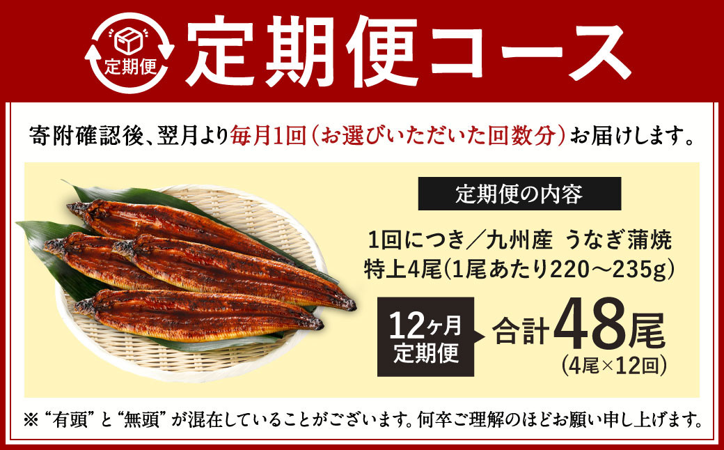 【12ヶ月定期便】九州産 うなぎ蒲焼 特上 4尾 (1尾あたり220～235g)  合計48尾