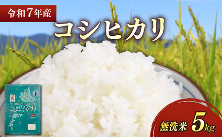【新米】【無洗米】令和7年 彦根産 米 コシヒカリ 5kg