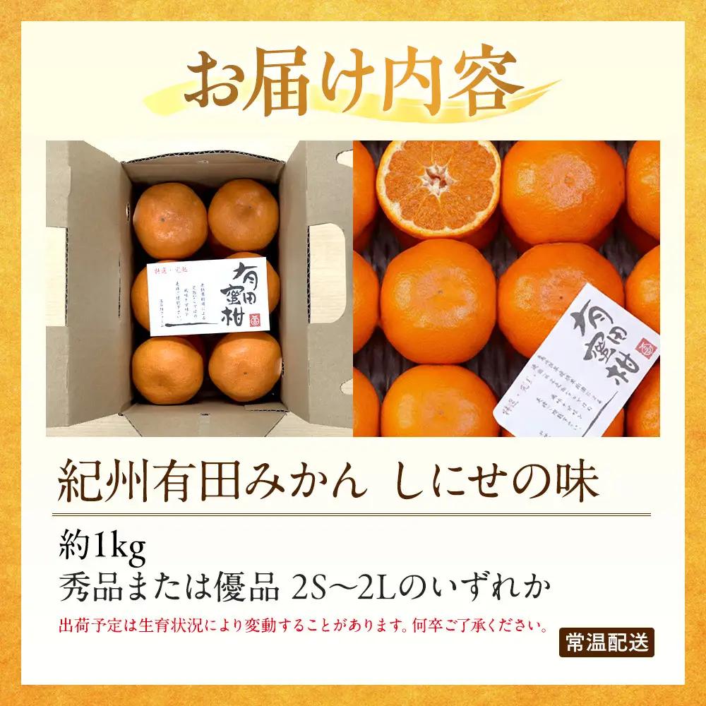 有田みかん 約1kg 2S～2L いずれか みかん 秀品または優品 しにせの味