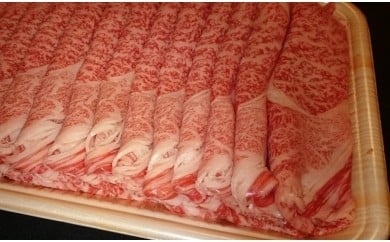【ふるさと納税】 飛騨牛A5~4等級 しゃぶしゃぶ用(肩ロース・ロース) 500g B-2/A-5