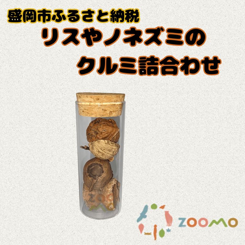 【ふるさと納税】リスやノネズミのクルミ詰め合わせ　お届け：2025年1月上旬より順次配送