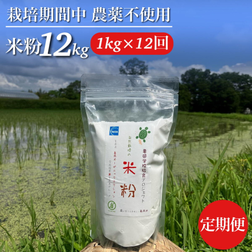 【12回定期便】京都府・亀岡産 栽培期間中農薬不使用 亀岡学校給食プロジェクト 自然栽培米の米粉 1kg×12回定期便 ※離島への発送不可