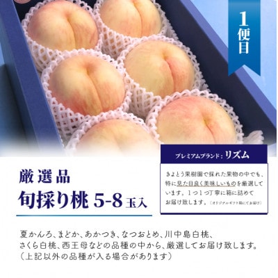 【発送月固定定期便】桃、ぶどう、梨の最上級品を旬にお届けする3回便!(岡山県産)全3回【配送不可地域：離島】