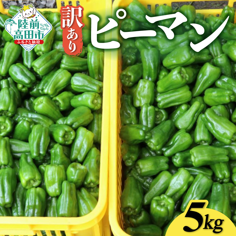 先行予約 訳あり 規格外 ピーマン 約5kg 【 不揃い 産地直送 新鮮 料理 野菜 大容量 岩手県 陸前高田市 Farm Koganeyama 】 RT2753