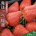 【ふるさと納税】【道の駅萩往還の名物イチゴ】「鬼ほっぺ(登録商標)」 特選（15粒入）　果物類・いちご・苺・イチゴ　お届け：2025年1月15日～3月31日